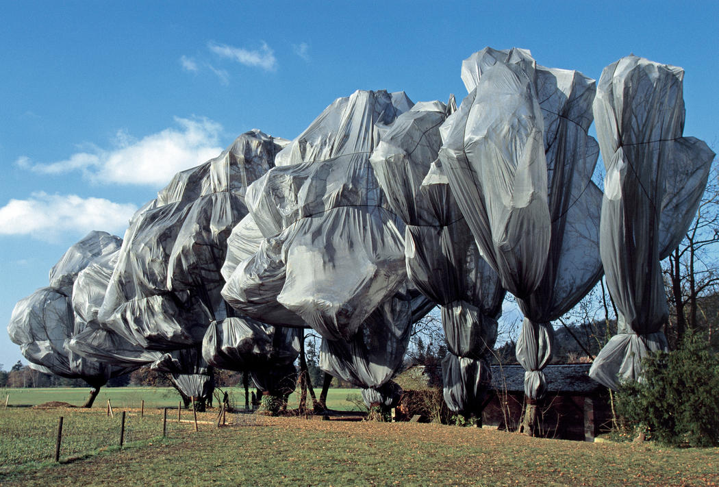 Christo and Jeanne-Claude Wrapped Trees, Fondation Beyeler and