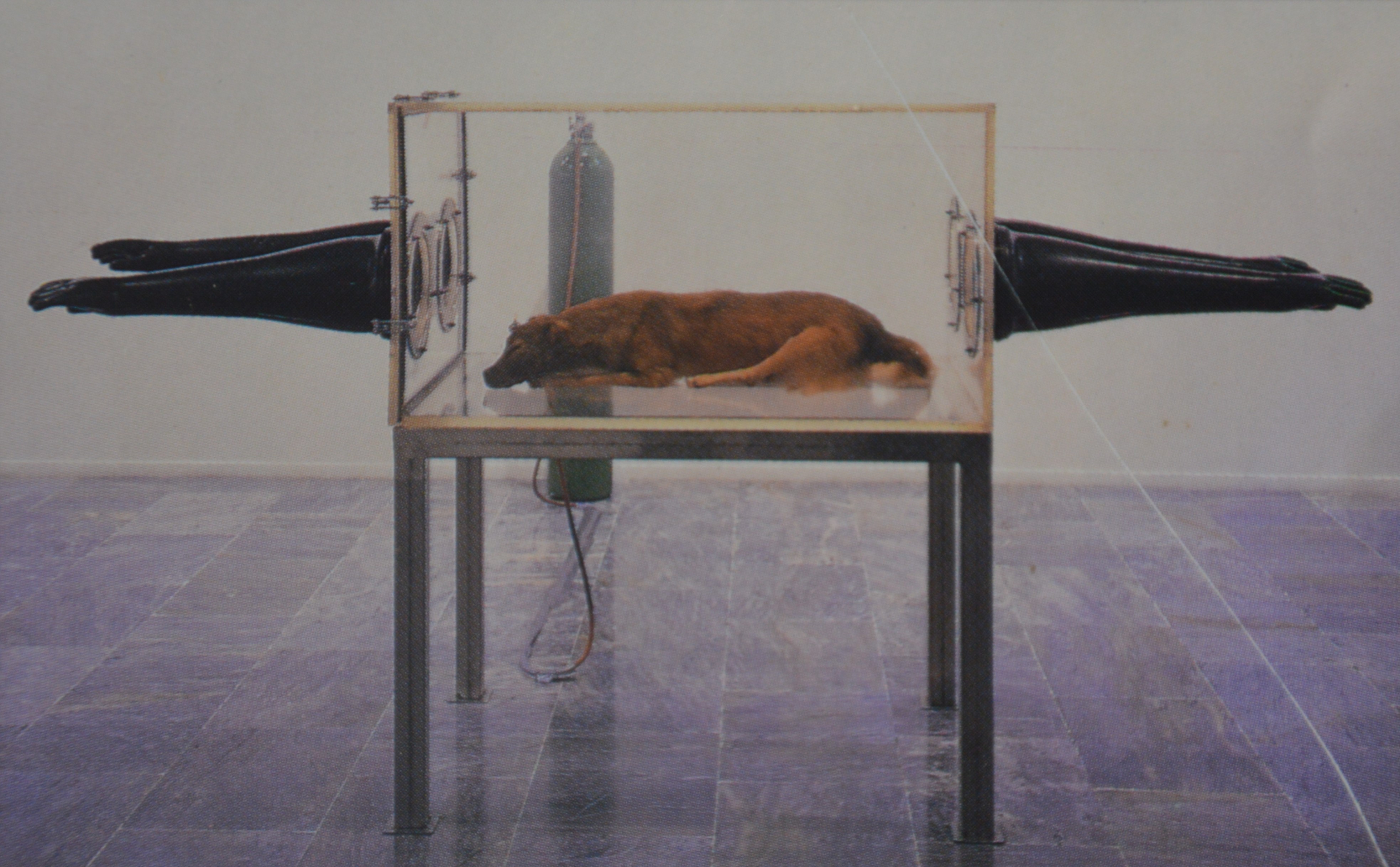 José Antonio Hernández-Diez work, image 6