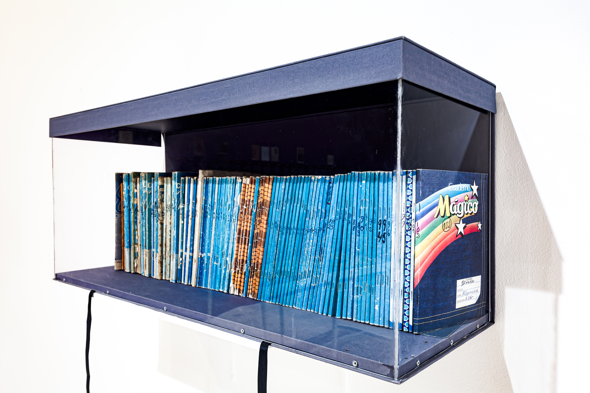 Conferencia «Los Archivos de Straka», con Weildler Guerra Curvelo